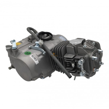 Preview: Pitbike-Motor YX 140ccm  mit Rennnockenwelle Z40